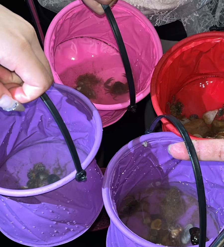 1756882337460458.jpg 微信圖片_20250903105048_429_316.jpg