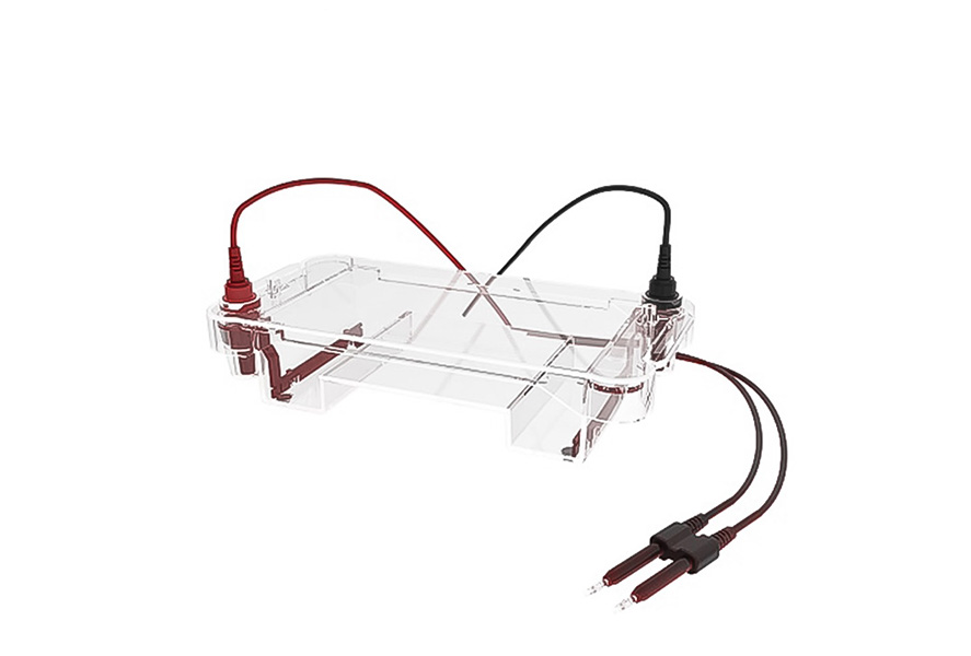 1765437086848248.jpg 未標題-2.jpg